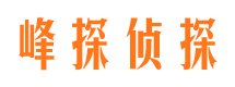 文安侦探公司